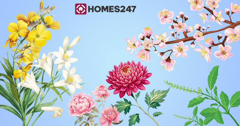 vastu plants for home